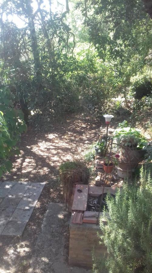 루냐노인테베리나 La Casa Di Lili 빌라 외부 사진